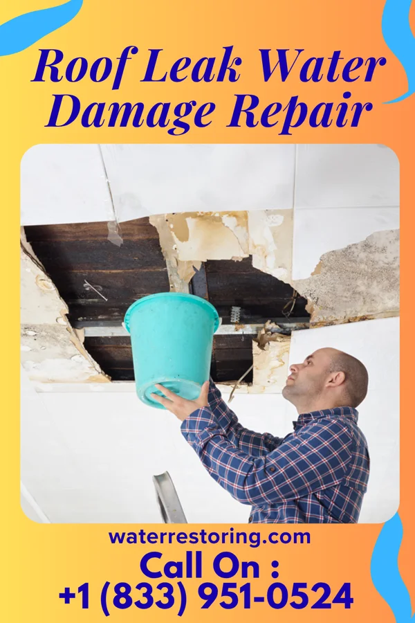Roof Leak Water Damage Repair in Sportsmans Park, OR
